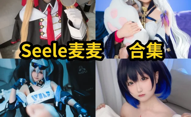 Seele麦麦作品小记:清新角色、灵动造型与合集目录整理