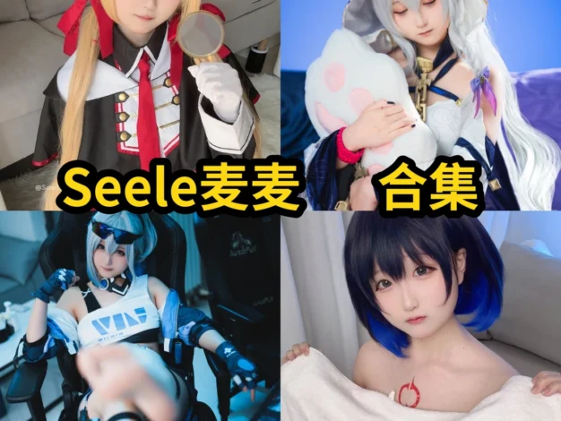 Seele麦麦作品小记：清新角色、灵动造型与合集目录整理